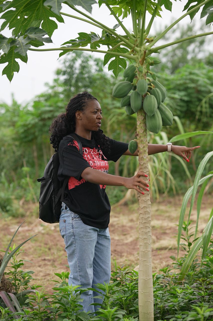 Women working in agricultural fields